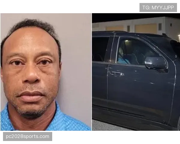 泰格伍兹车库里的豪车比我家房子还多，这日子也太让人羡慕了吧