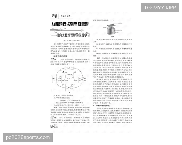 巴尔科拉战术价值局限性与体系适配性深度分析